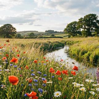 Image of a meadow, with flowers, trees, and mountains on the horizon